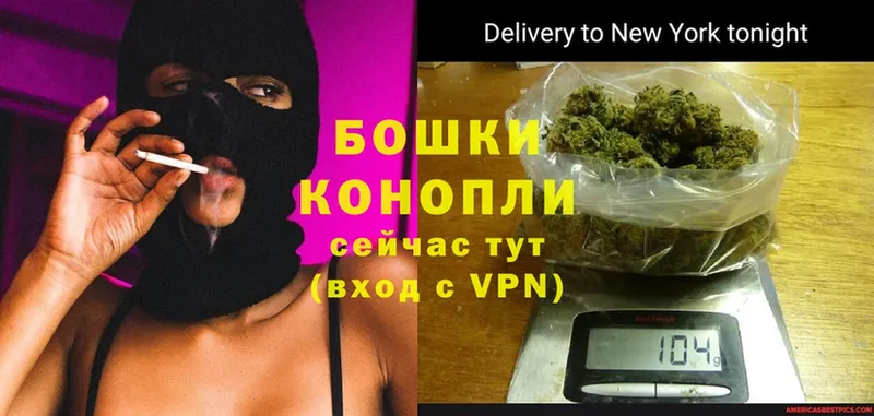 Бошки Шишки Ganja  что такое   Великий Устюг 